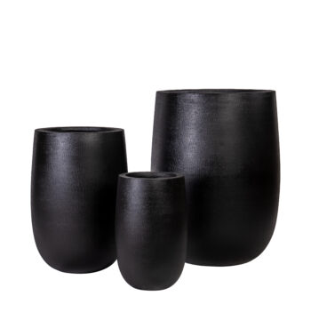 Pot palm sandy noir