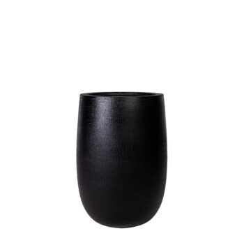 Pot palm sandy noir