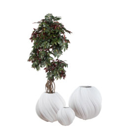 Pot Noho sandy white