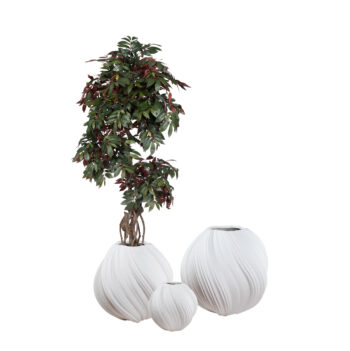 Pot Noho sandy white