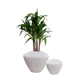 Pot Low Kaktia sandy white