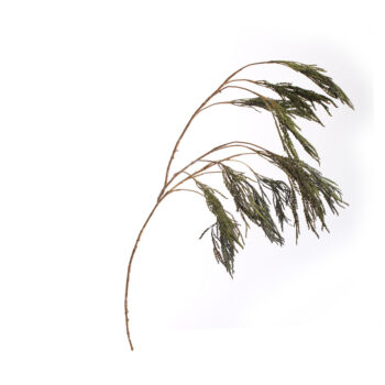 Branche de riz dorée