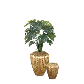 Pot High Kaktia shiny gold