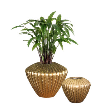Pot Low Kaktia shiny gold