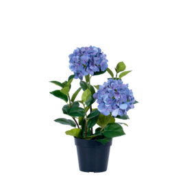 Hydrangea bleu H 56cm