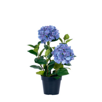Hydrangea bleu H 56cm