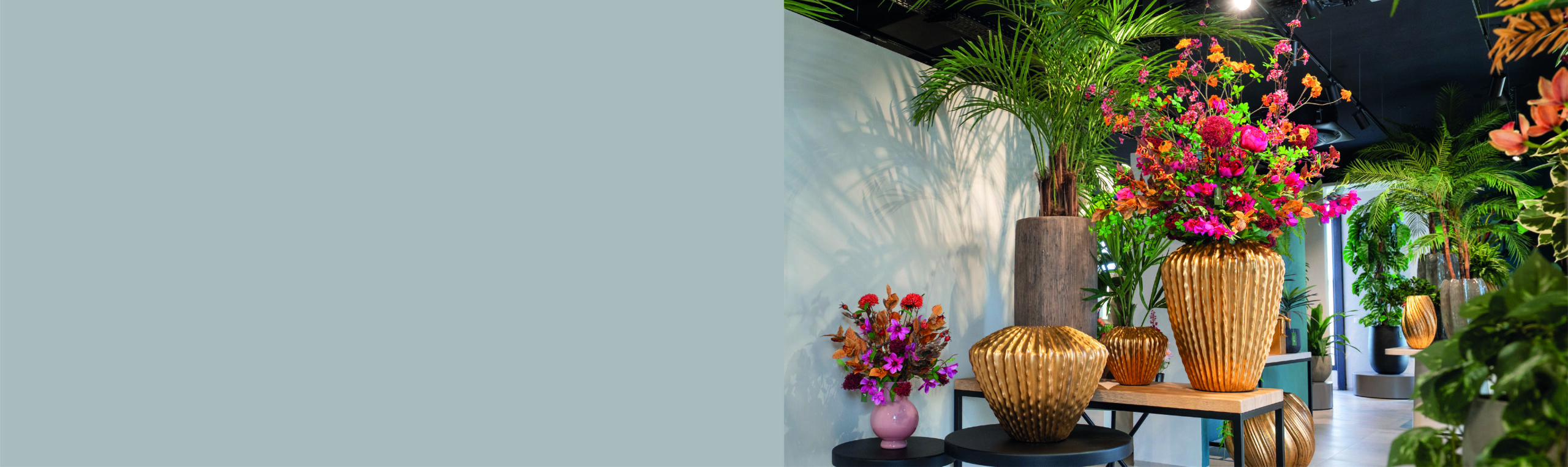 Bannière 102025 (2)