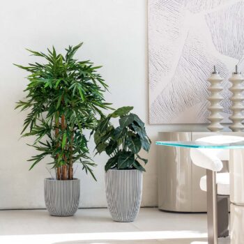 Bambou new eco H 150cm / H 180cm