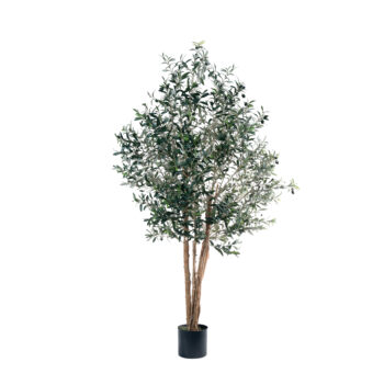 Olivier à tronc aspect naturel H 120cm / H 150cm / H 180cm / H 200cm – Image 7