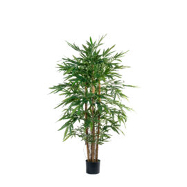 Bambou new eco H 150cm / H 180cm