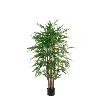 Bambou new eco H 150cm / H 180cm