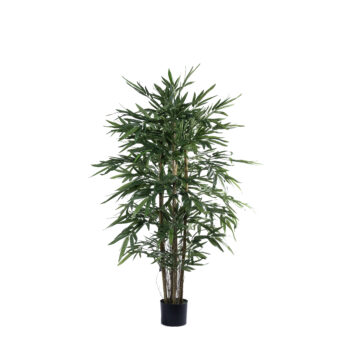 Bambou new eco H 150cm / H 180cm – Image 4