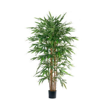 Bambou new eco H 150cm / H 180cm