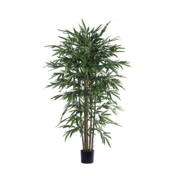 Bambou new eco H 150cm / H 180cm – Image 5