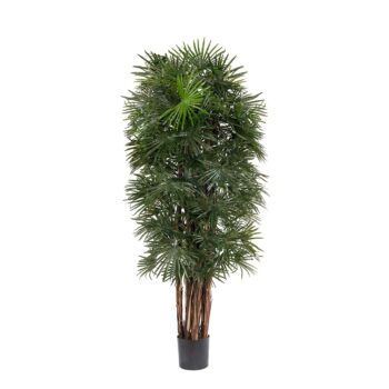 Fan Palm à feuillage dense H 150cm / H 180cm plante artificielle
