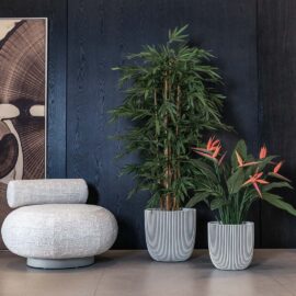 Bambou new eco H 150cm / H 180cm