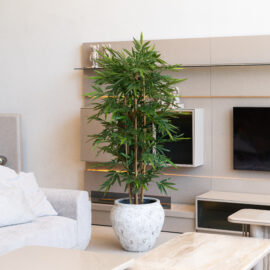 Bambou new eco H 150cm / H 180cm