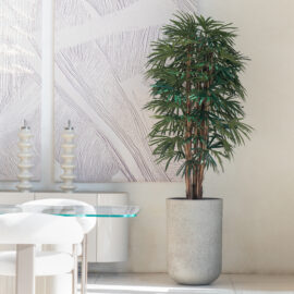 Raphis Palm H 180cm