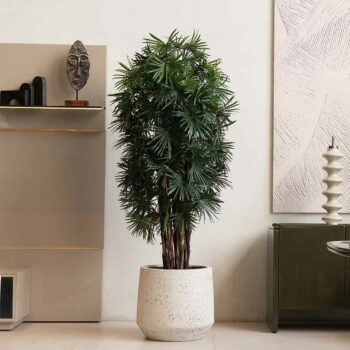Fan Palm à feuillage dense H 150cm / H 180cm plante artificielle