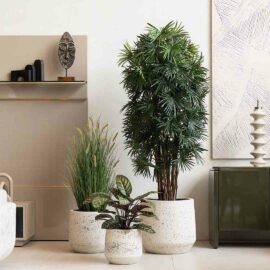 Fan Palm à feuillage dense H 150cm / H 180cm plante artificielle
