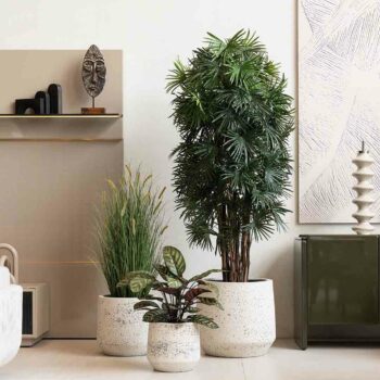 Fan Palm à feuillage dense H 150cm / H 180cm plante artificielle