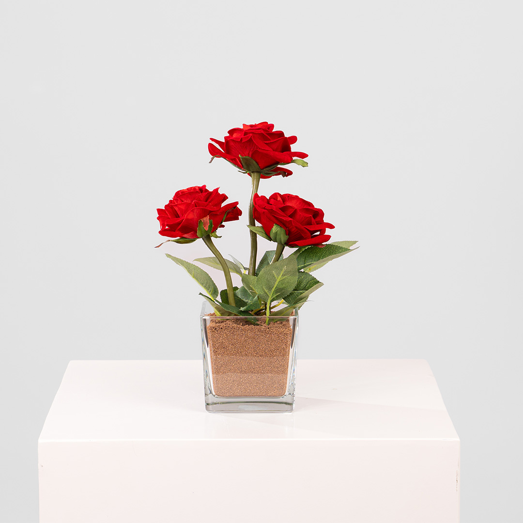 CF2101261352 CF2101261352