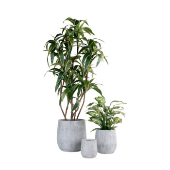 Pot high lexa gris finition brute