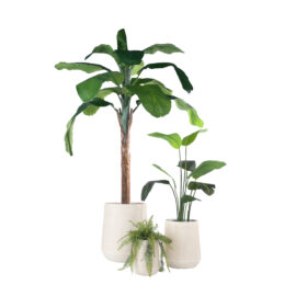 Pot high Mica antique beige finition brute