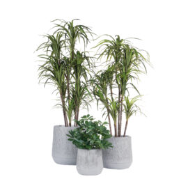 Pot Mica gris finition brute