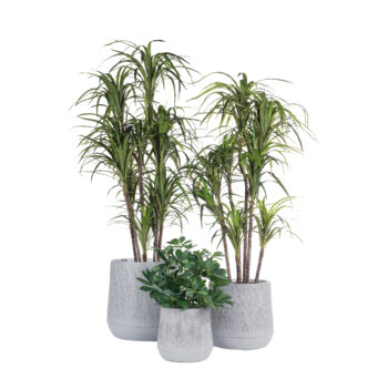 Pot Mica gris finition brute