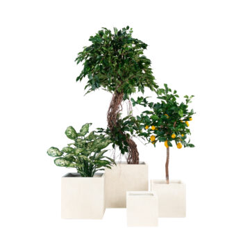 Pot square antique beige finition brute