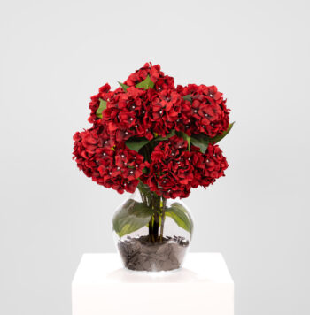 Composition Plaisir H 55cm