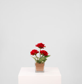 Composition Lola H 30cm