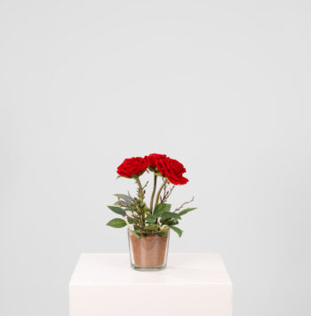 Composition Roxie H 30cm