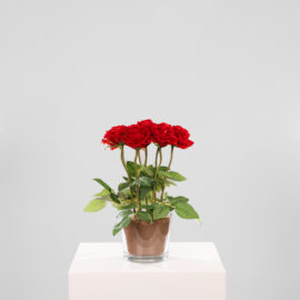 Composition Caprice H 38cm