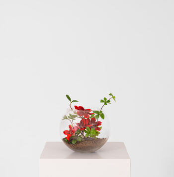 Composition Bijou H 25cm