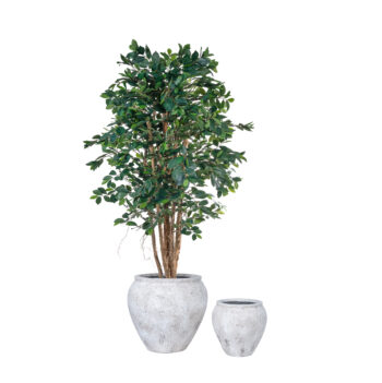 Pot Edge White antique