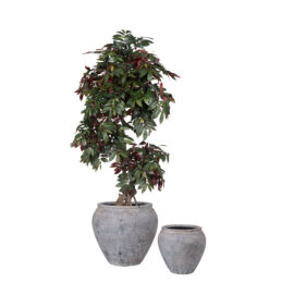 Pot Edge Brown antique