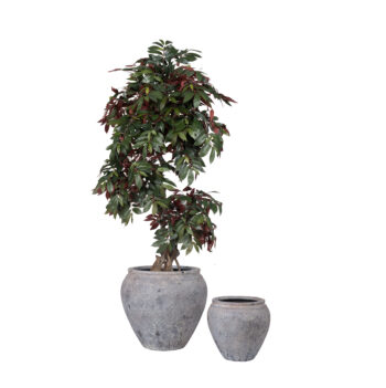 Pot Edge Brown antique