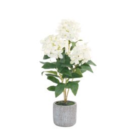 Snowball white H 46cm