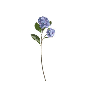 Hydrangea bleu L 81cm