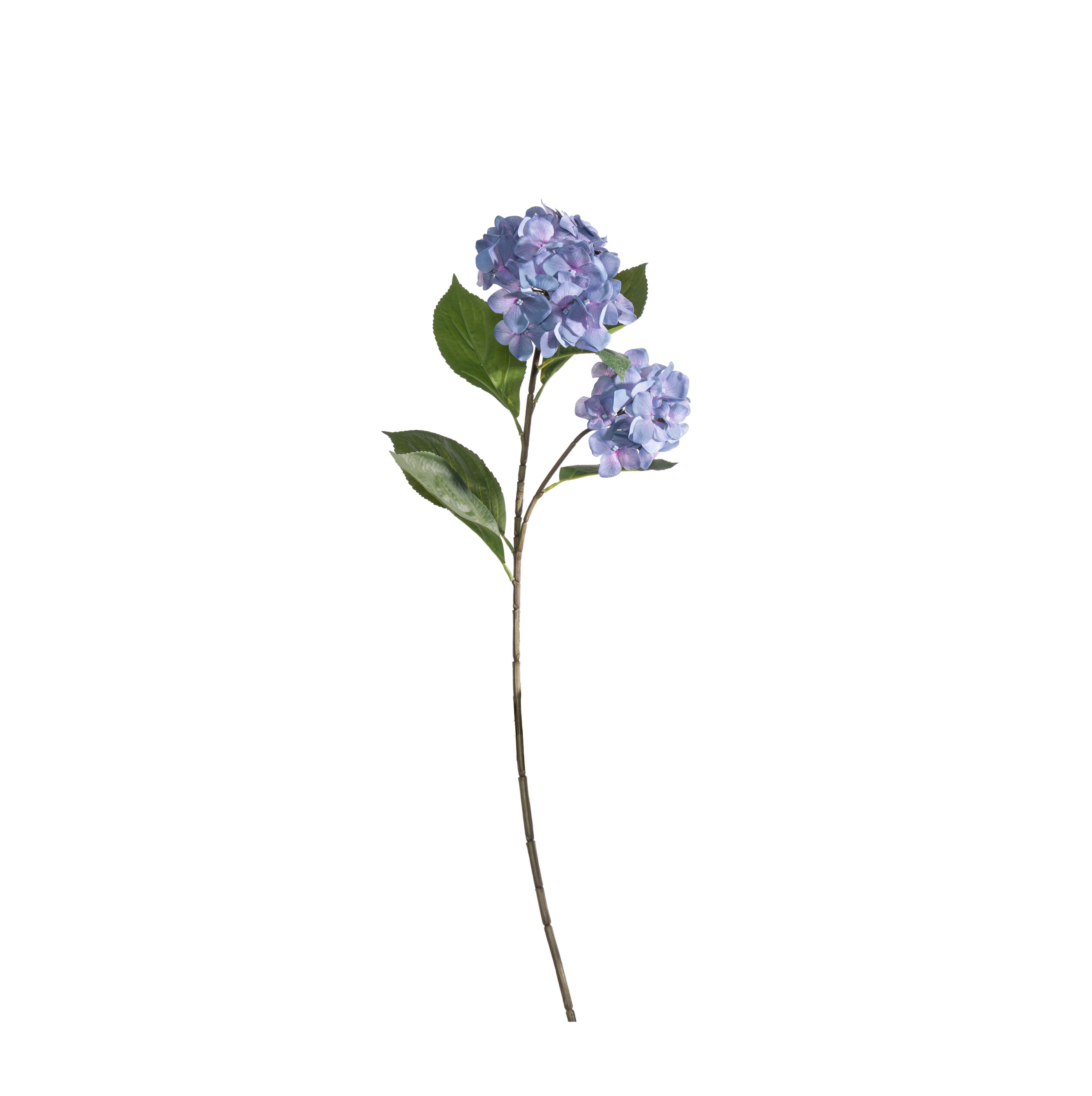 1013038 Hydrangea bleu L 81cm