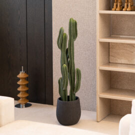 Cactus exotic panama H 99cm / H 131cm