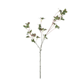 Branche de ficus Deltoidea L 80cm