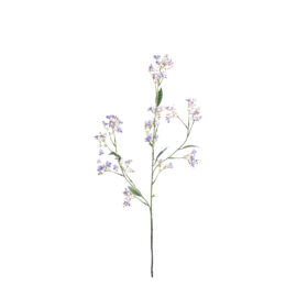 Daphine Lavender L 108cm