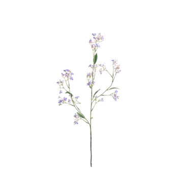Daphine Lavender L 108cm