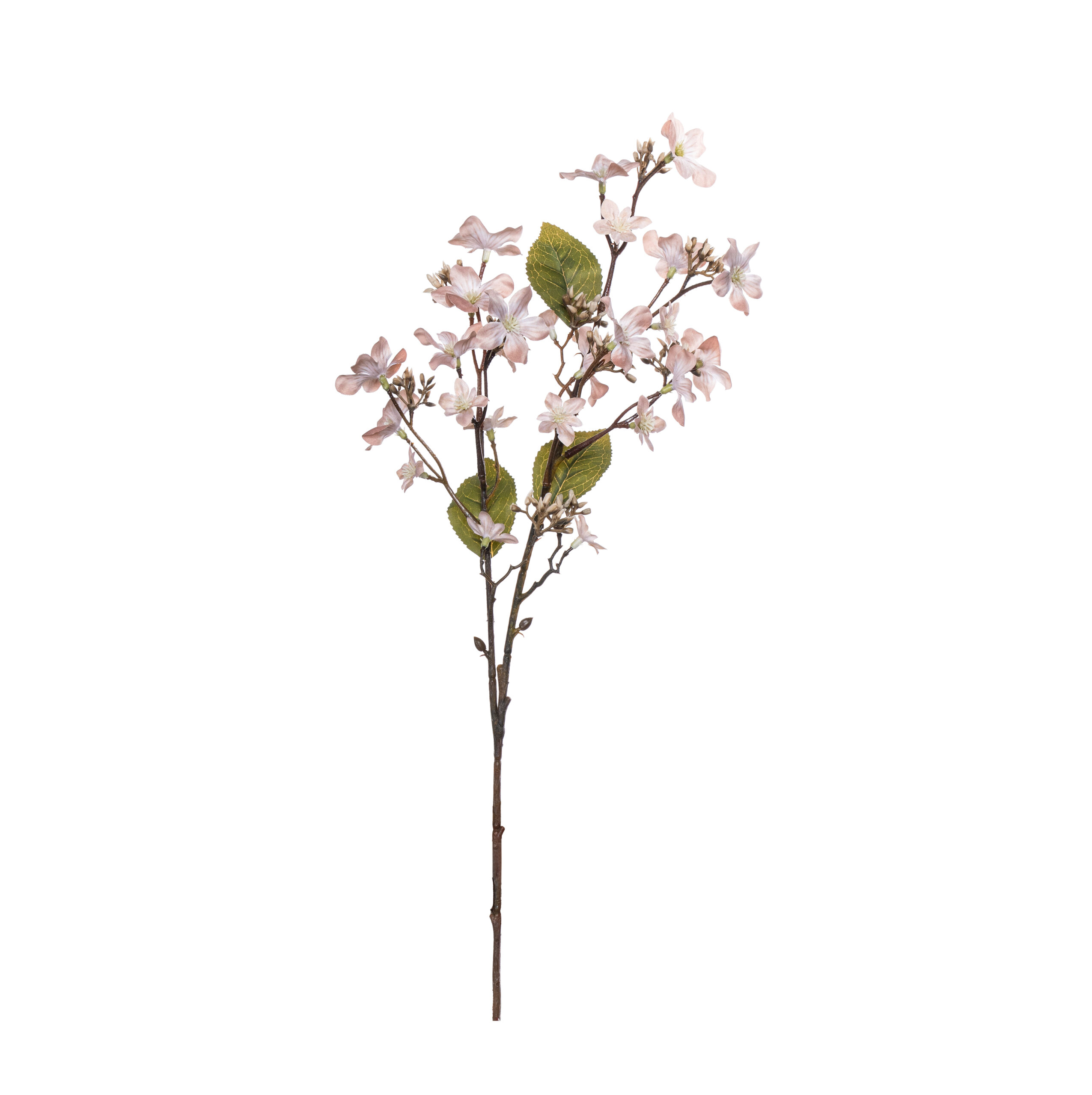 FL1021030CR Tung flower cream L 63cm