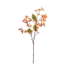 Tung flower orange L 63cm