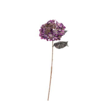 Hydrangea dry purple L 52cm