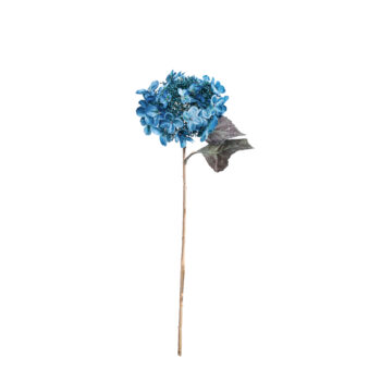 Hydrangea dry blue L 52cm